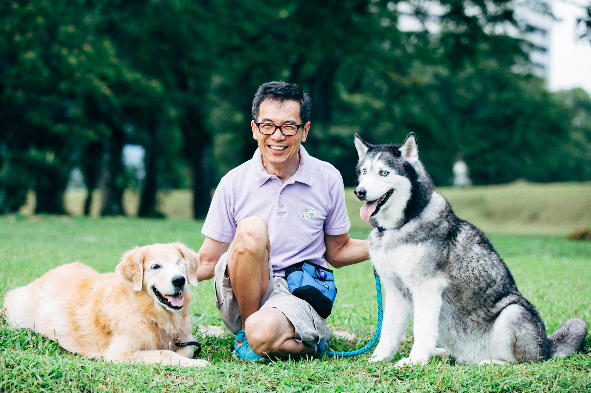 dog walking certification classes near me